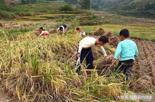 农村如果全面放开三胎，会不会迎来人口增长高峰期？答案已被证实