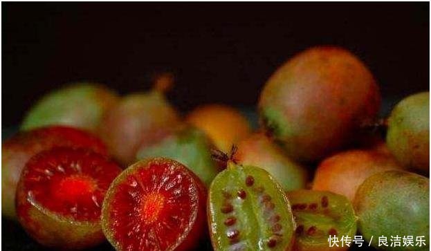  「玉米」拜拜了“玉米”,此果树一夜爆红,村民抢着种,大叔年收入