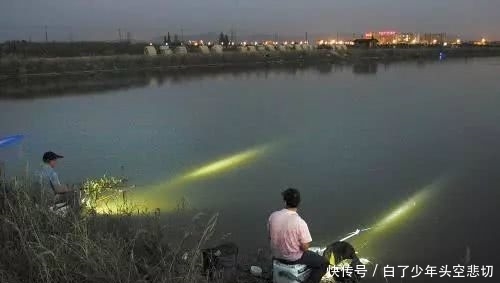 『干豆腐』效果奇佳的钓鲢饵