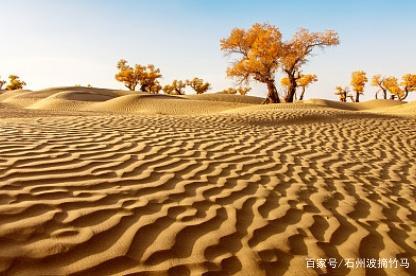  [世界人民]中国又宣布什么决定引起了世界人民瞩目，但有一个国