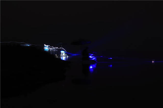  [不到]一个半资深钓鱼人的总结，为什么你总是钓不到鱼呢？