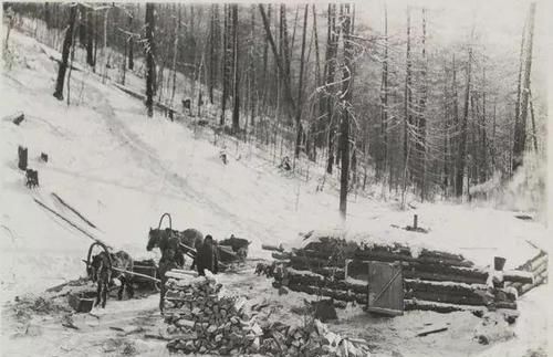  「东北」东北老照片 地窨子