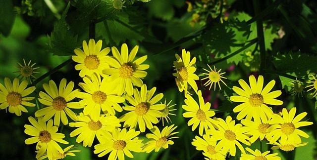 秋天已至，这十个美景不可不去