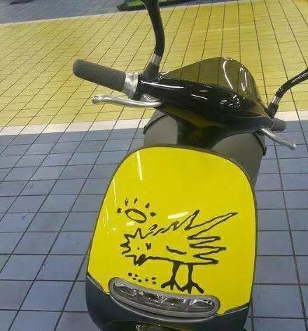  『舒淇』她是艺术体操界的美女，曾与宁泽涛传绯闻，还曾担任舒淇替身！