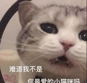  「黑眼圈」为什么花了2W护肤，黑眼圈、眼纹还是藏不住？