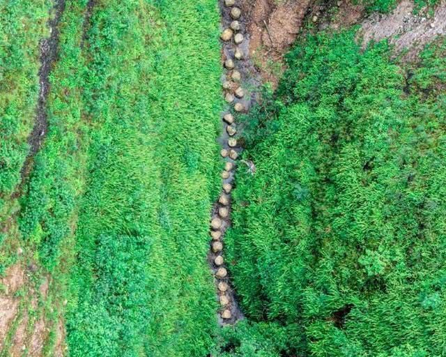 国内有条“过山车”公路，约有116层居民楼高，司机如同置身云端