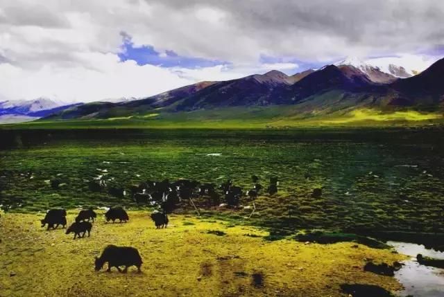 川藏线10日寻梦之旅，可以说是人类“最后的秘境”（内附线路）！