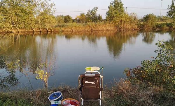 [雾天]过了霜降钓鱼要看天气，这些天气鱼最好钓，渔获肯定差不