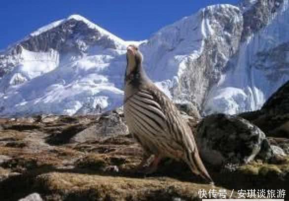 如果没有喜马拉雅山，会对中印产生什么影响？我们还好印度最惨