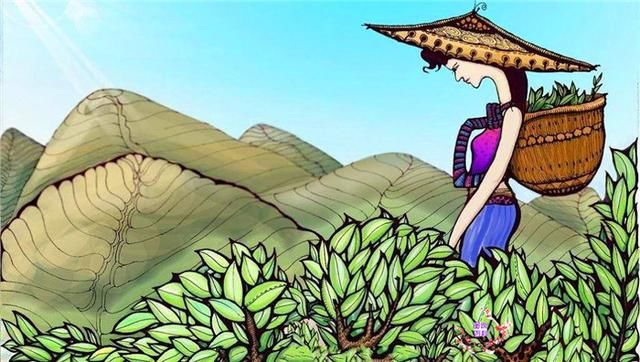 警惕微信卖茶叶美女，为何很多人上当？网友：套路让人无法拒绝啊