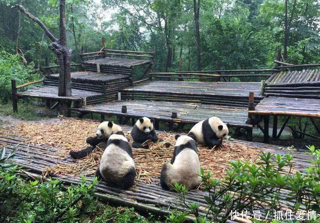 国内最“强势”的城市,蝉联新一线榜首,未来很有希望成为一线?