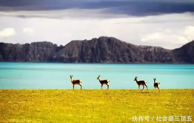 新疆最极致的景观诱惑，天山深处最后一片净土，居然是它