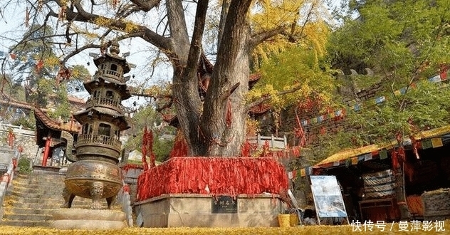  『堪称』山东一个美丽尼姑庵，堪称现实版桃花源，距今已有近千年的历史