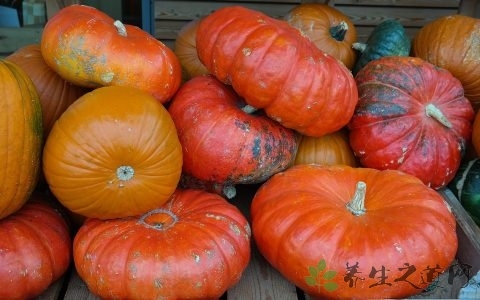 老年人适合吃什么保健品