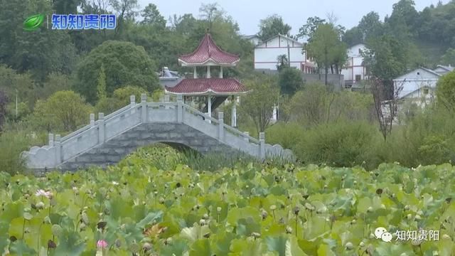 贵阳这里藏着一尊石刻大佛，居然比乐山大佛还厉害！