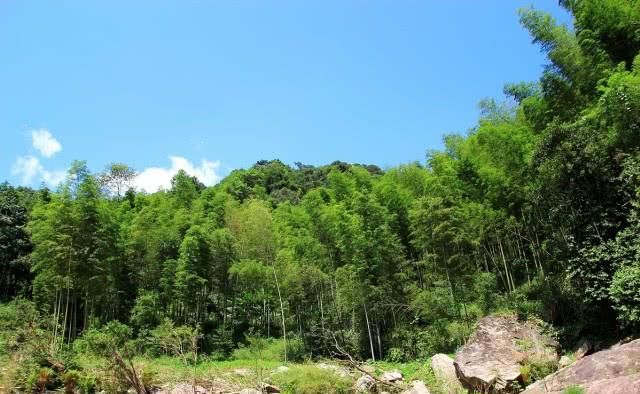 广东有个奇特的小县城，平日里默默无闻，冬季却成旅游胜地