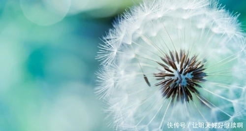 想要|想要放下一个人,不是刻意删除微信,而是必须做到不打扰