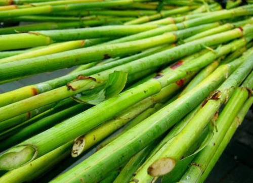 农村地里正在消失的零食，图4比甘蔗都甜，最后1个想找都困难！