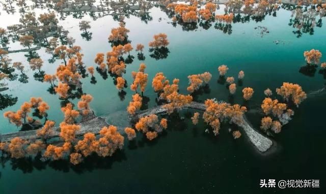 大山 沙漠 湖泊 金胡杨是大自然最完美的构图