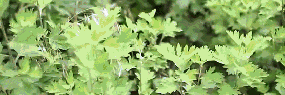 末伏将至!忽略这个步骤，湿热邪气一起找上门…