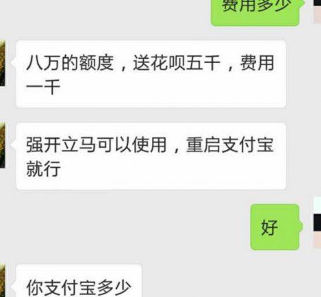 支付宝借呗强开新外挂，花呗假客服真骗子，他骗钱你背债!