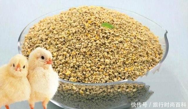  『解决』“春分”到小鱼闹，鲫鱼变得不好钓！巧用小鸡饲粒解决烦恼
