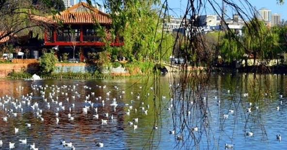 中国最舒适的十大城市, 年轻人来了就不想走