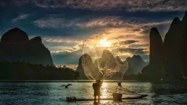 全国四大绝美春色,可惜今年看不到了!【2020热门旅游景点】