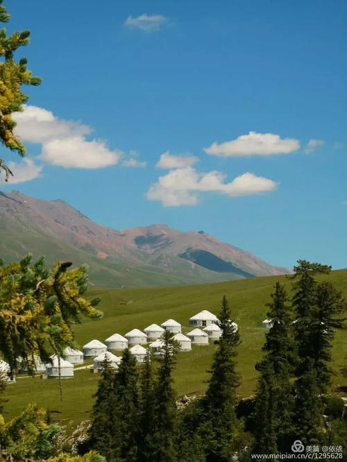 醉在托乎拉苏草原上