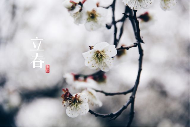 2018狗年本命年的躲春方法 属相按立春还是春