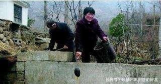 什么是真正的大养猪场这些养猪集团的规模真吓人！