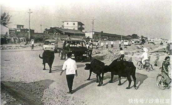 深圳1983老照片, 图2很高端图5面试的女孩很漂亮