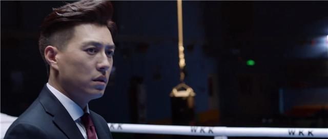 精英律师蓝盈莹靳东大结局