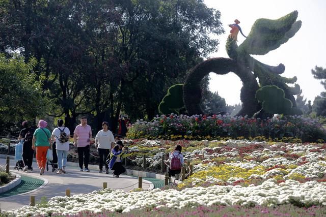 北京植物园40万株鲜花迎国庆 市花展十一开幕