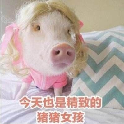 猪猪女孩原来是靠这些东西变精致的