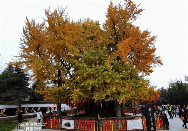 中国最早的道教宫观在西安，距今2600年，免费开放，知道的人不多