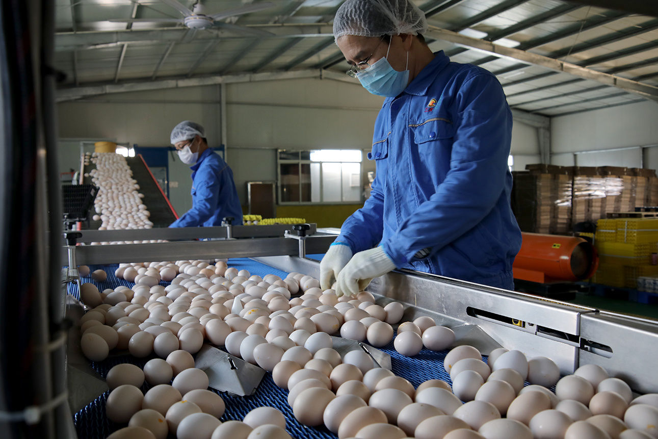  争分夺秒@广东疫线报告|疫情下的“菜篮子”：一场争分夺秒的全