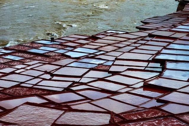 再过一个月，国内这处桃花盛景就要藏不住啦！囊括高原最美雪山！