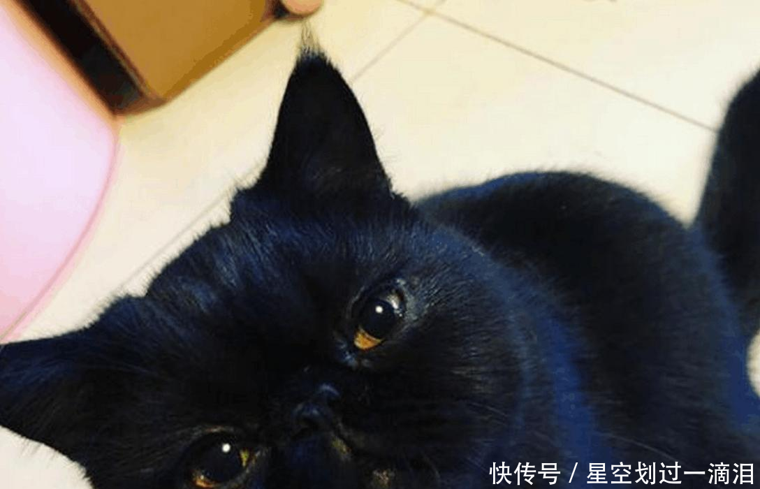 连破分手传闻! 制片人后关晓彤再发文澄清, 真甜蜜还是假炒作