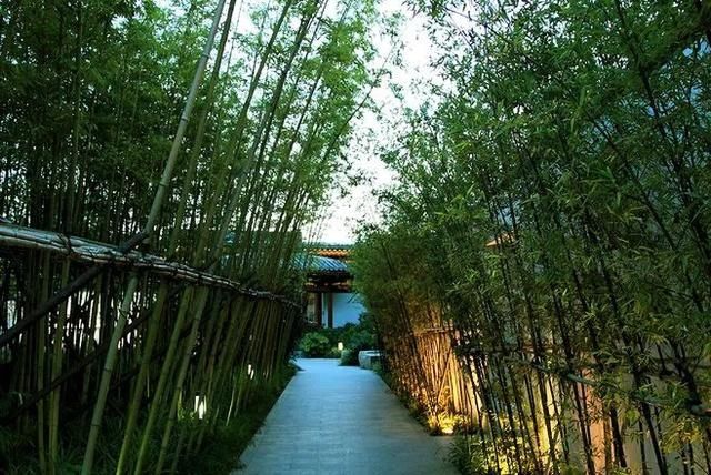  『庭院』菜吧：乡村庭院，你的第二个故乡！