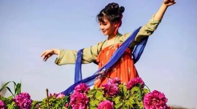  #没来#牡丹花开已成海，您咋还没来？