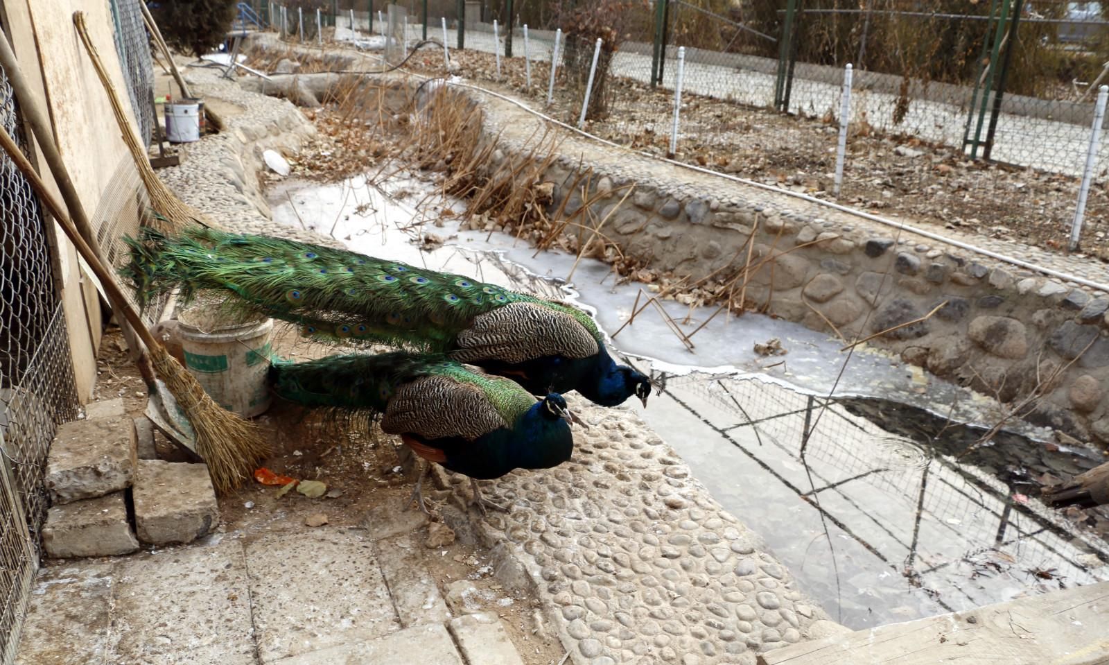 北京自驾游，美食购物走起啦