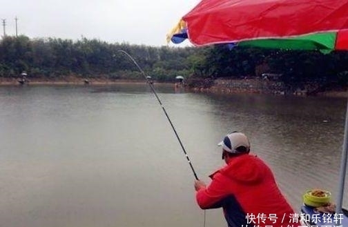  「得当」立秋后鲤鱼并不难钓，主要是方法要得当，这套打窝秘诀教给你