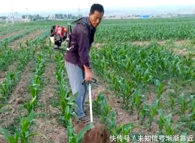中国 “电动锄头”一出，耕地不再愁，一天能锄几百亩 ，忒省力