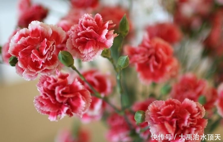 气质:天生就是万人迷的3生肖女,高颜值有气质,美出新高度