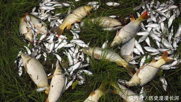 钓点成:立夏过后钓鱼,这些钓点成了必争之地,底下鱼儿扎堆,下竿就上鱼