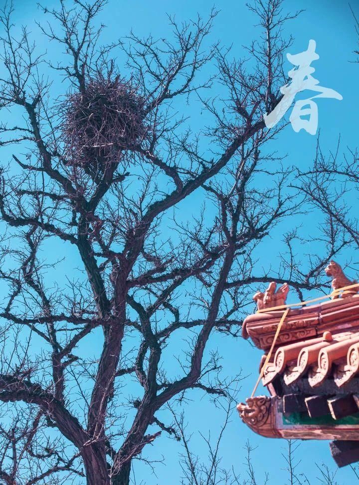  『预约』滨海新区的春天，不需要预约