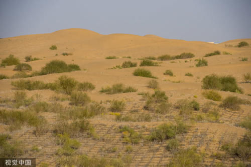  「枯竭」中国绿化西北荒漠，可能导致水资源枯竭！《自然》凭什