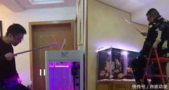 #家宅#在家宅了12天,这群钓鱼人也待不住了,花式钓鱼谁更强