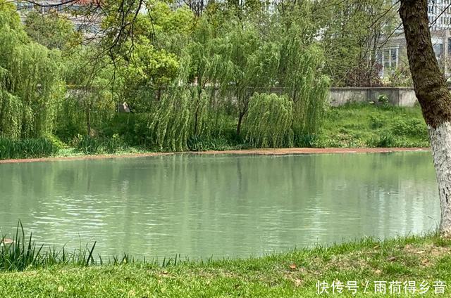 『感受』快过来,感受大自然强大的治愈力